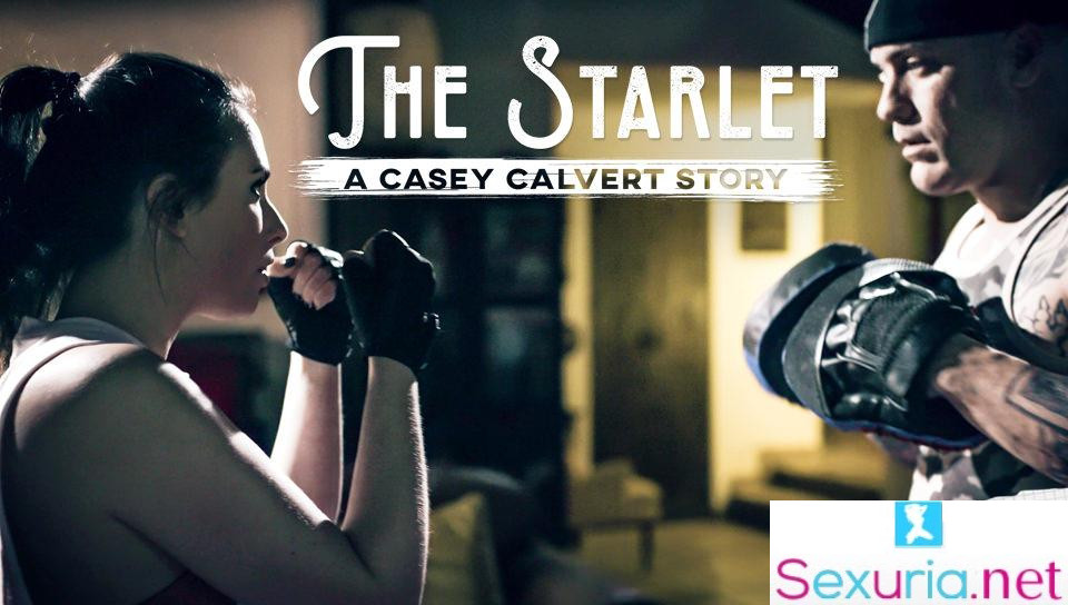Pure Taboo - Casey Calvert - The Starlet: A Casey Calvert Story - 1080p