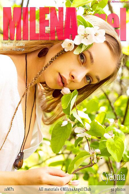 MilenAngel Milena - Cydonia