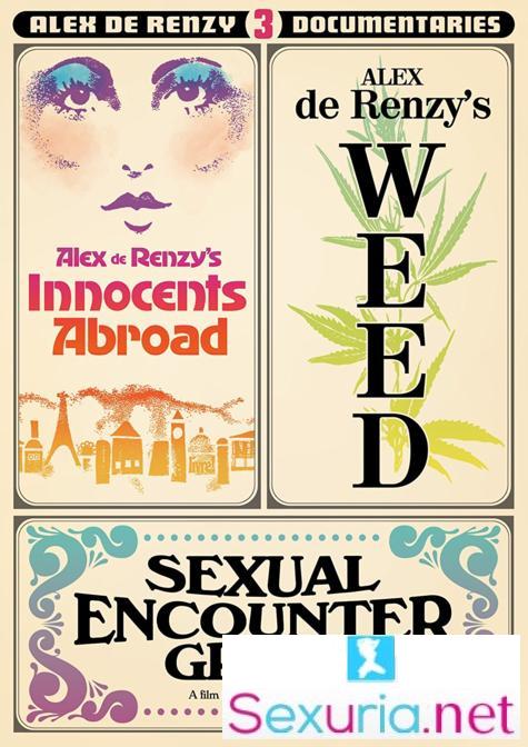 Sexual Encounter Group - 720p