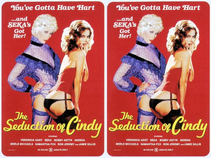 Seduction Of Cindy -1980- 1080p