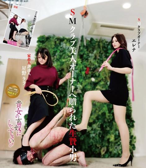 JAV Scat - Small Man Sacrifice Given To A Beautiful SM Club Owner -Please Be Your Slave - ZRND-13 [Year 2022]