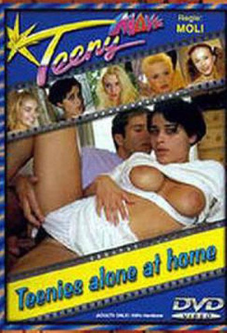 Teenies allein zu Haus -1995-