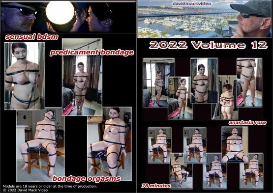 David Mack Video 2022 Volume 13 - 720p