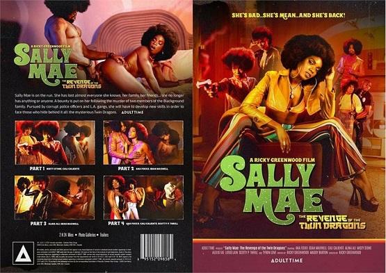 The Sally Mae - Revenge Of The Twin Dragons - 720p
