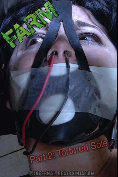 Siouxsie Q - BDSM and Humiliation - The Farm: Part 2 Tortured Sole (720p)