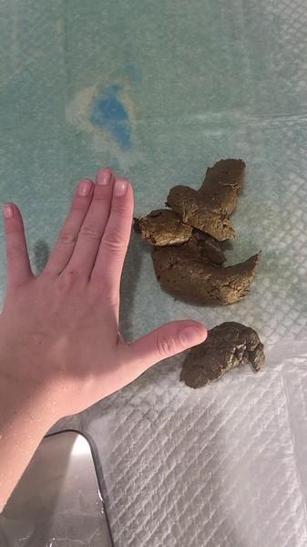 Dominatrix Zaida - I weigh my shit [1080p]