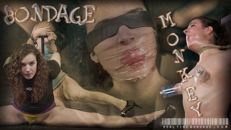 Endza - Bondage Monkey Part 1 720p