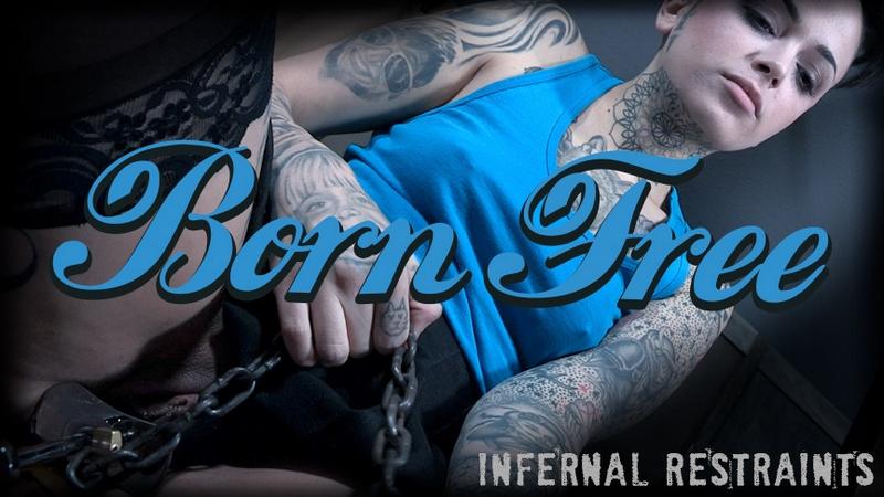 Leigh Raven - Born Free » Sexuria Download Porn Release for Free