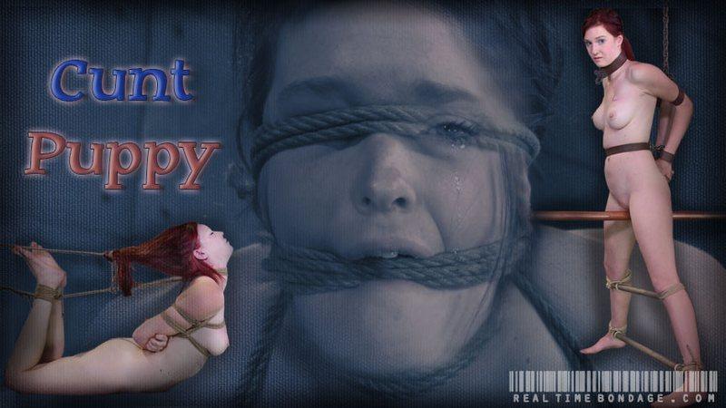 Ashley Lane - Cunt Puppy Part 2 720p