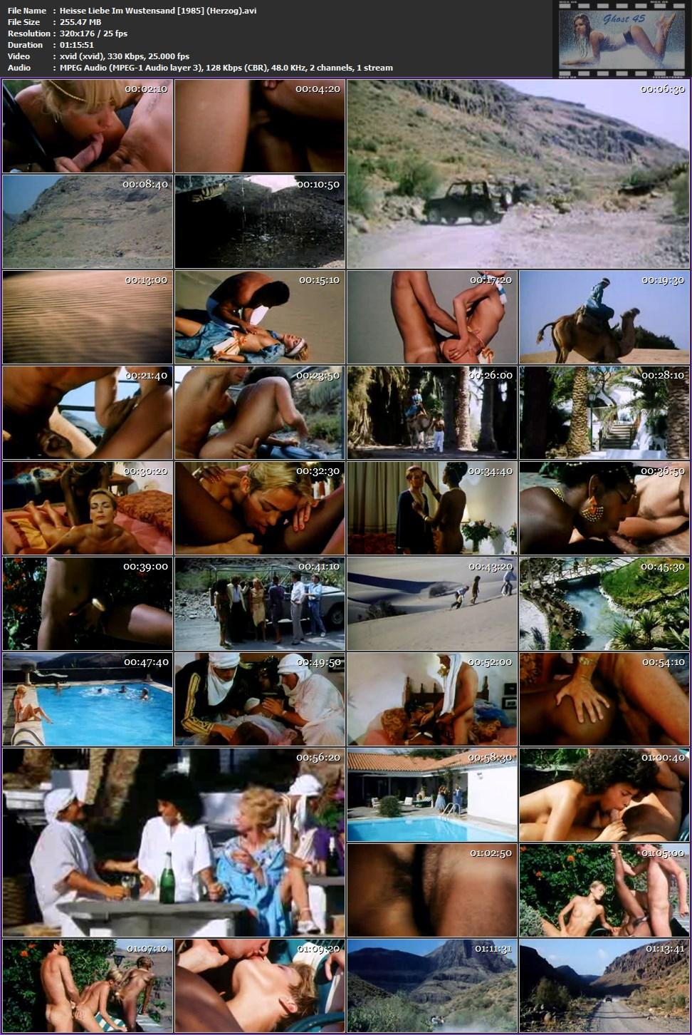 Alpha France Collection 1974 - 1986 » Sexuria Download Porn Release for Free