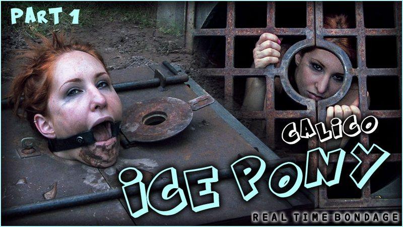 Calico, Sister Dee - Ice Pony I