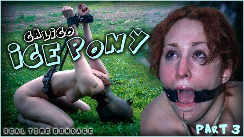 Calico, Sister Dee - Ice Pony III