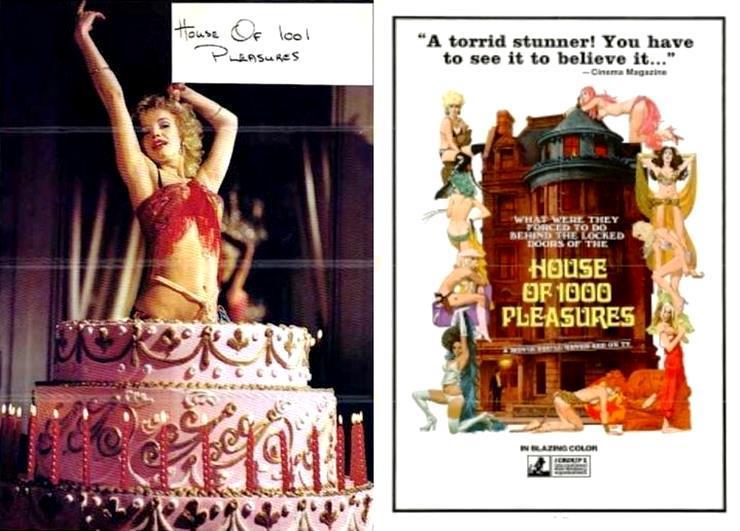 House of 1001 Pleasures