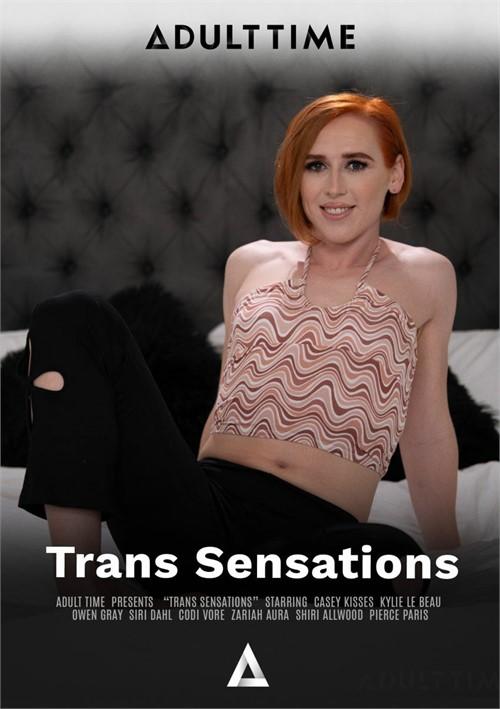 Trans Sensations (2025) - 720p