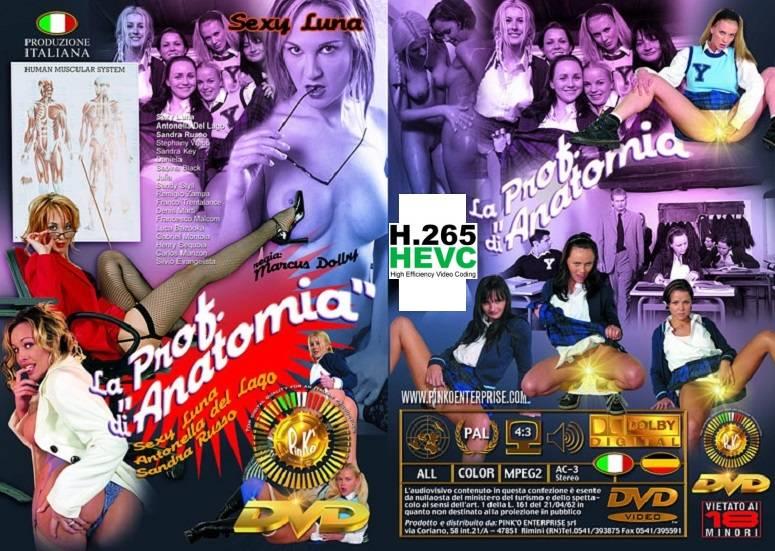 La Prof. Di Anatomia 720p