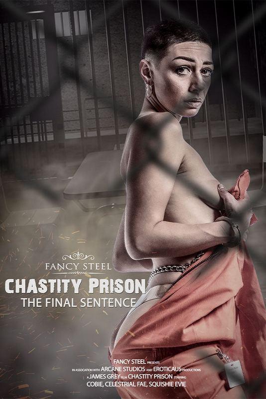 Chastity Prison 5: The Final Sentence 1080p