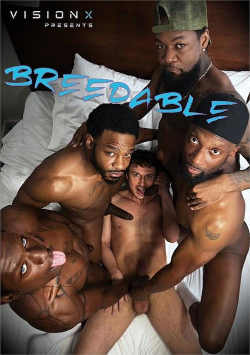 VisionX - Breedable - FullHD/1080p