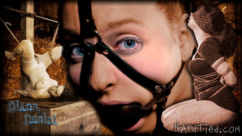 Dixon Mason - Dixon in Denial 720p