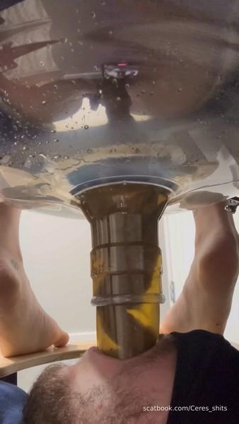 Goddess Ceres - Scat on face sitting / Human Toilet's First Malfunction Infinite Shit Down Your Throat [1080p]