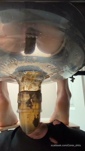 Goddess Ceres - Scat face sitting / 24 Minutes of Daily Toilet Slave Destruction [1080p]