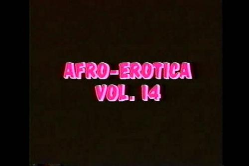 Afro-Erotica Volume 14 (1987)