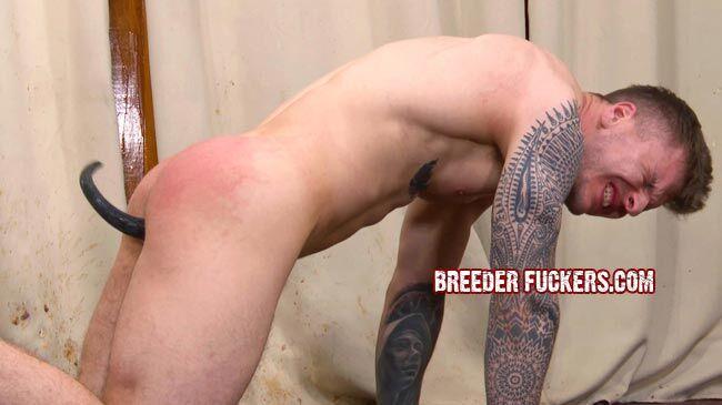 BreederFuckers - Stephen - HD/720p