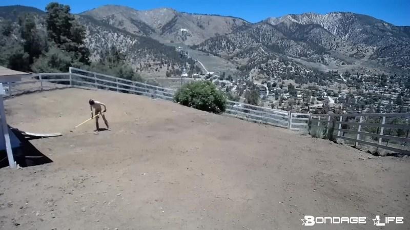 Rachel Greyhound - Yard Maintenance 720p